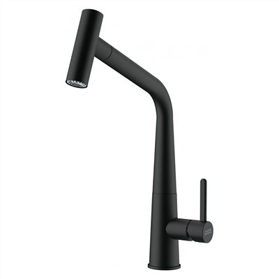 PT193G伸縮龍頭-霧黑(靜音/花灑) DXJ-115.0625.190